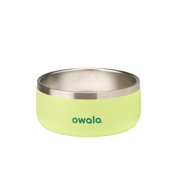 Owala Pet Bowl