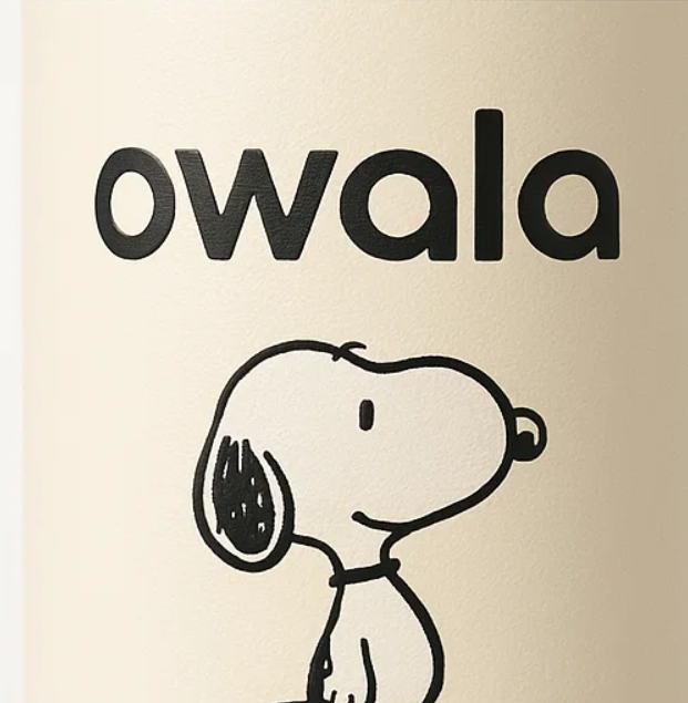Owala × Snoopy Stainless SteelInsulated Straw Bottle 20oz –Orange