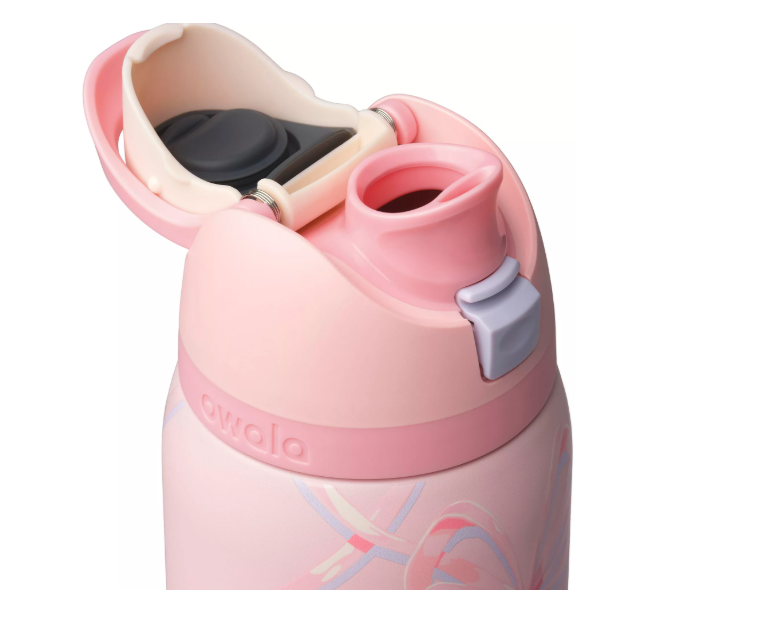Owala 32oz FreeSip StainlessSteel Water Bottle – Sugar PlumFairy